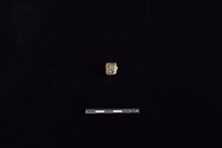 陶把藏品圖，第1張